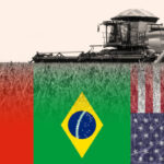Máfia de Anestesistas: INVESTIGAÇÃO LEVANTA SUSPEITA DE ESQUEMA NACIONAL