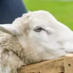 QUASE METADE DOS PACIENTES DO SUS NÃO CONSEGUE TRATAMENTO DE CÂNCER NO PRAZO LEGAL