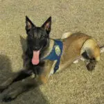 Tensão Nuclear: ISRAEL BOMBARDEIA IRÃ, MIRA INSTALAÇÕES NUCLEARES E MATA CHEFE DAS FORÇAS ARMADAS