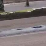 EL PCC, ÉS UN PROBLEMA SUDAMERICANO