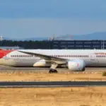 NO BRASIL, ONG ALEMÃ FAZ TRANSAÇÕES MILIONÁRIAS COM UMA DAS AVES MAIS RARAS DO MUNDO