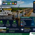 RESGATE DE MAIS DE 2,6 MIL FÓSSEIS EM OBRA DE LINHA DE TRANSMISSÃO, REFORÇA PATRIMÔNIO PALEONTOLÓGICO DO PARANÁ